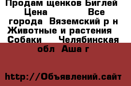 Продам щенков Биглей › Цена ­ 15 000 - Все города, Вяземский р-н Животные и растения » Собаки   . Челябинская обл.,Аша г.